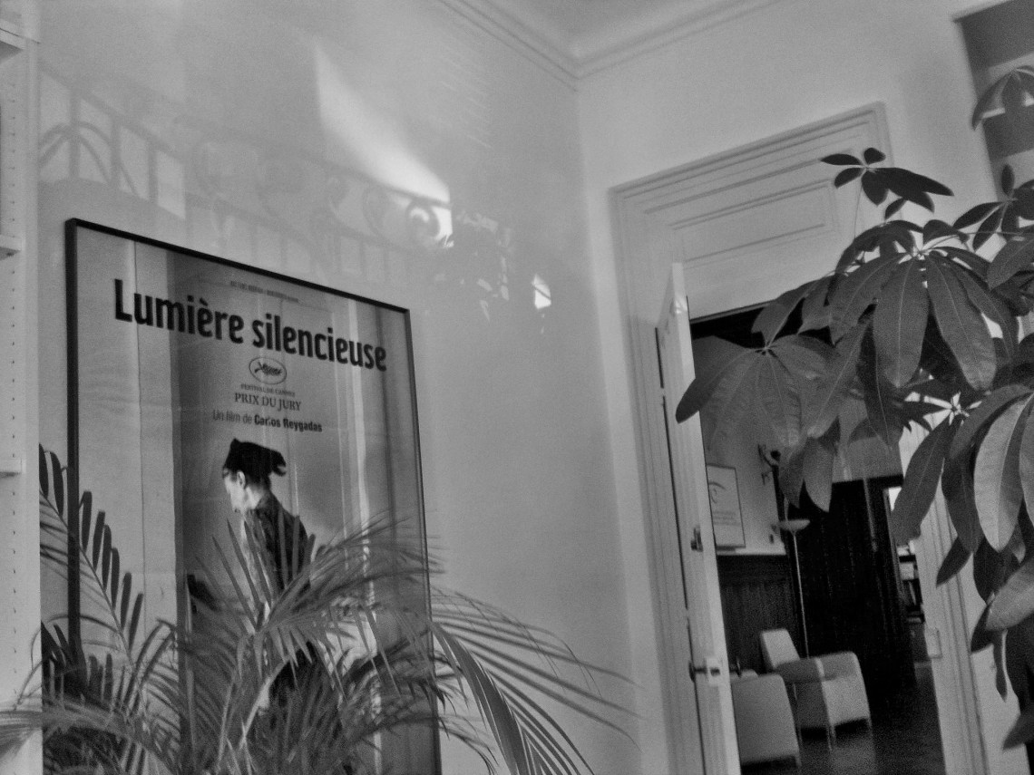  Ombres et lumière dans mon bureau à a Villa Schützenberger (Strasbourg, mai 2011). (Photo : André Lange-Médart)