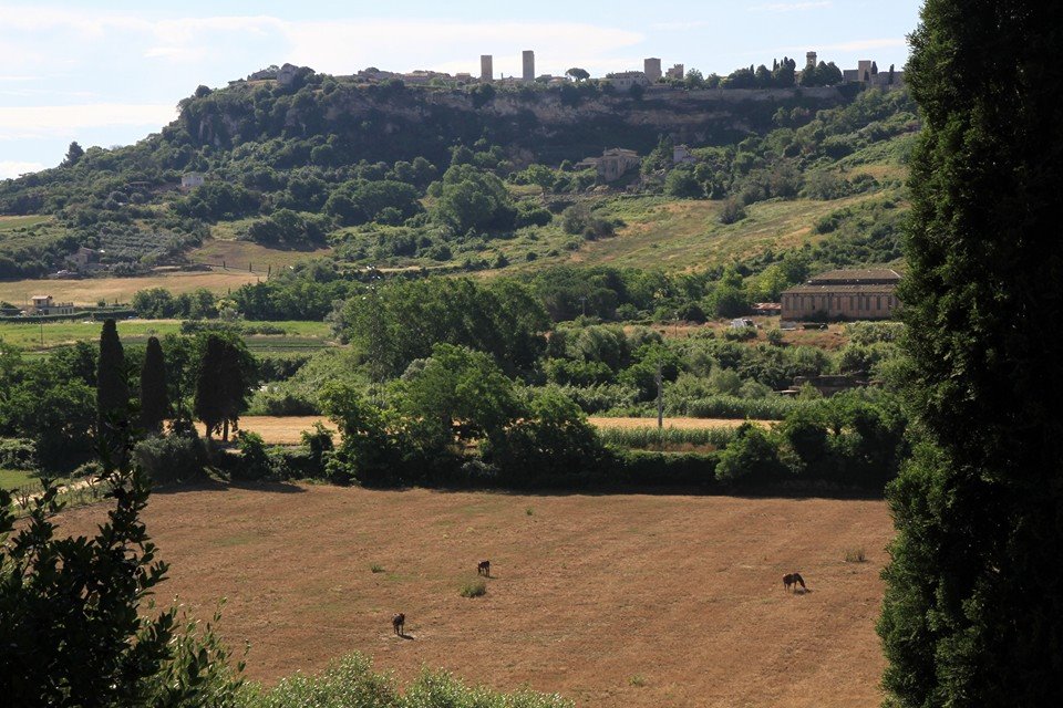Tarquinia1