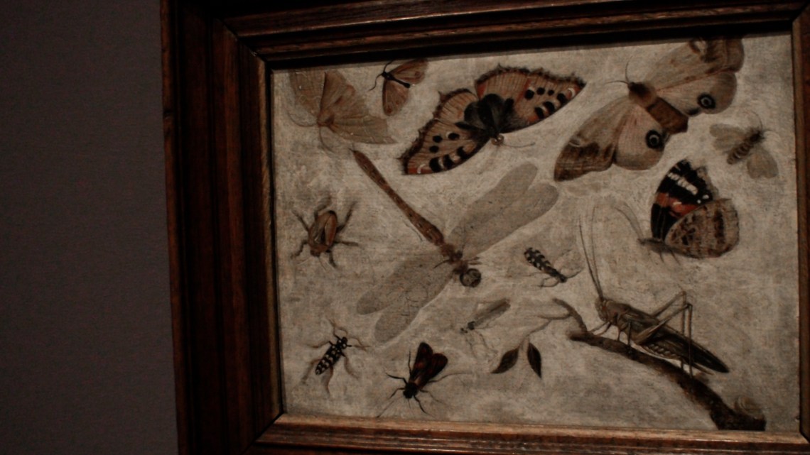 Réalités d'un monde-20