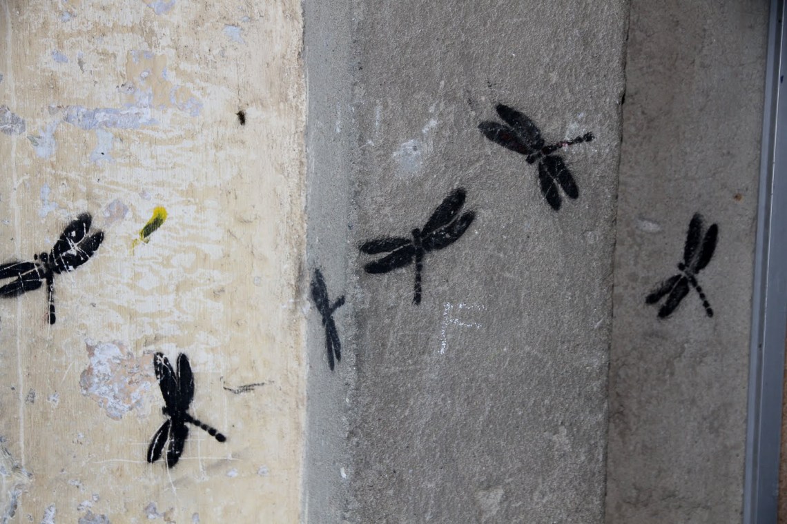 Libellules peintes sur un mur de Corte (avril 2011). Photo Andr Lange-Médart.