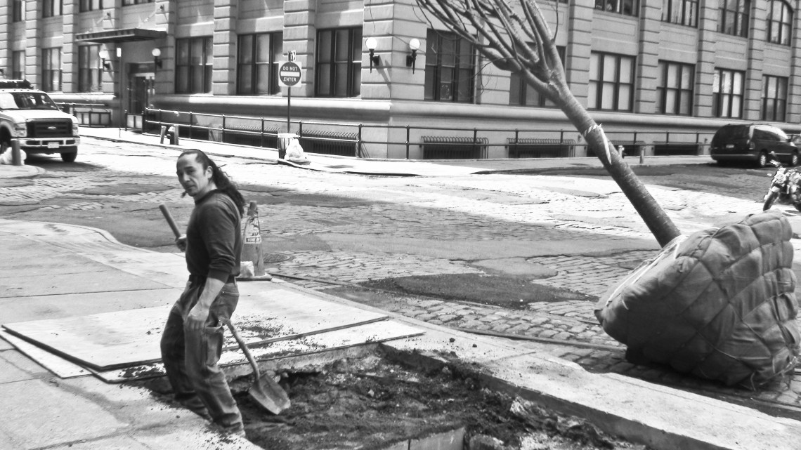 Planteur d'arbre à Brooklyn (mars 2009) Photo André Lange-Médart