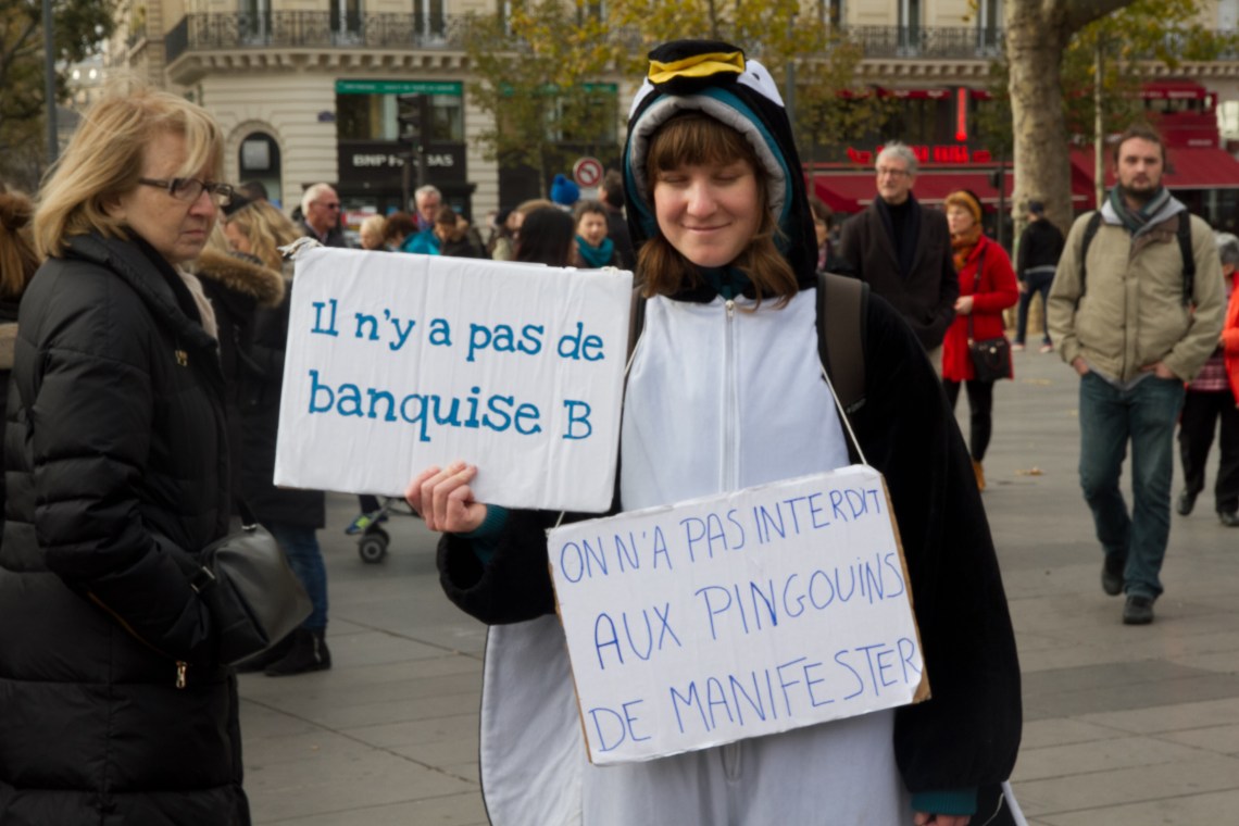 "Il n'y a pas de banquise B" (Photo André Lange-Médart)